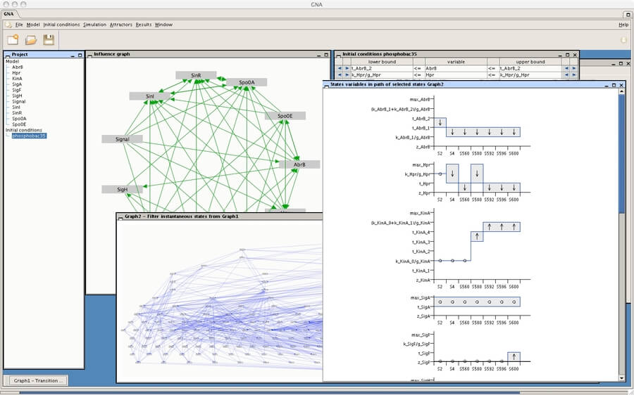 Interface graphique (GUI) du logiciel Genetic Network Analyzer